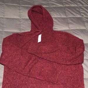 American Eagle Sweater Hoodie
